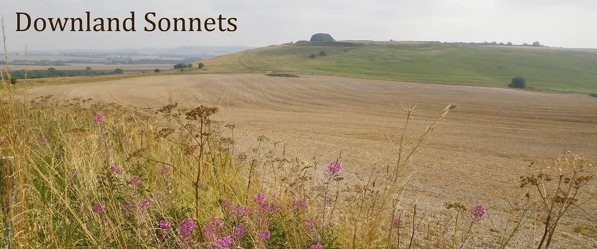 Best Time to See A Coruña's Menhirs for Mankind