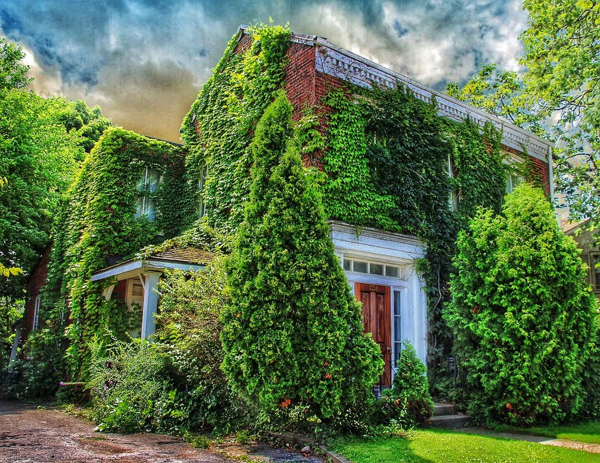 A Coruña's Industrial Architecture History Guide