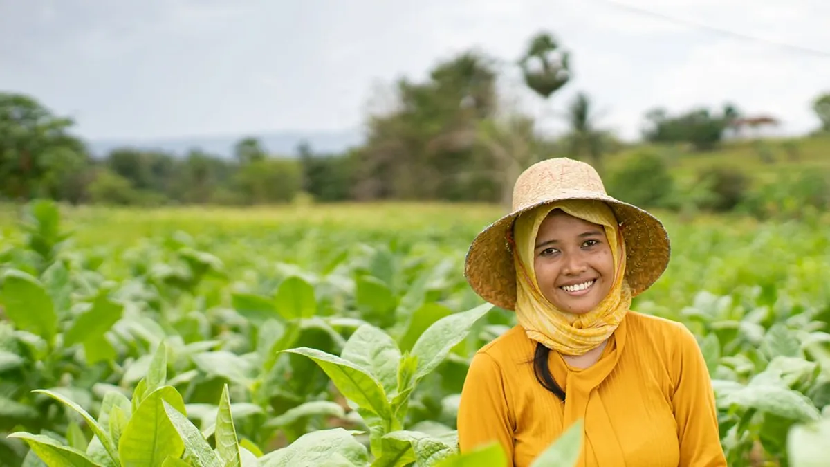 Understanding the Design of María Pita Square