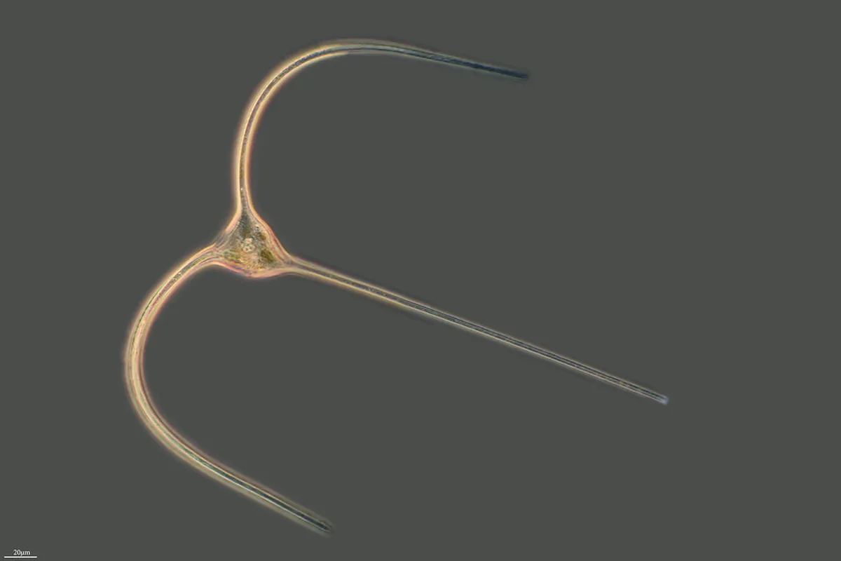 Discover Alicante's Hidden Gems in 2025