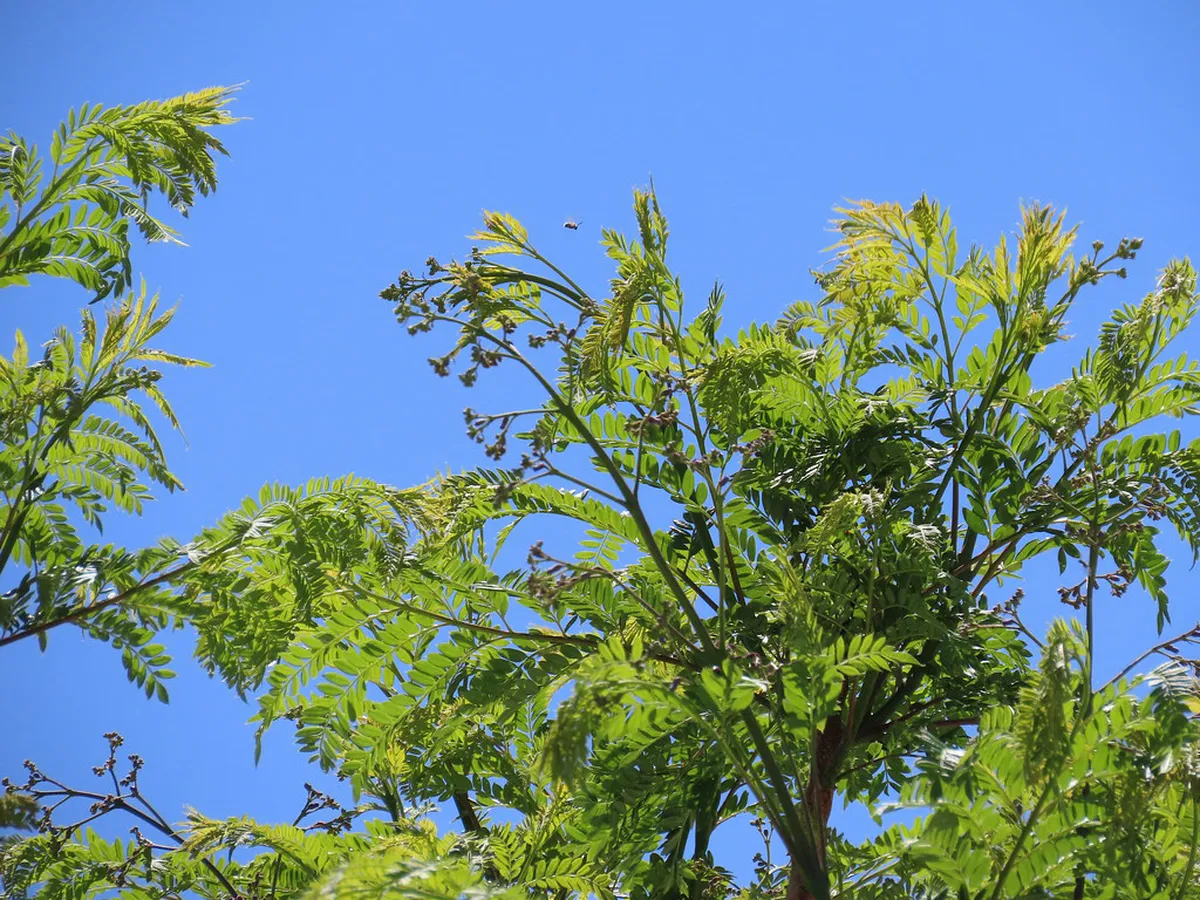 How Alicante Preserves Its Historic Buildings: A Guide