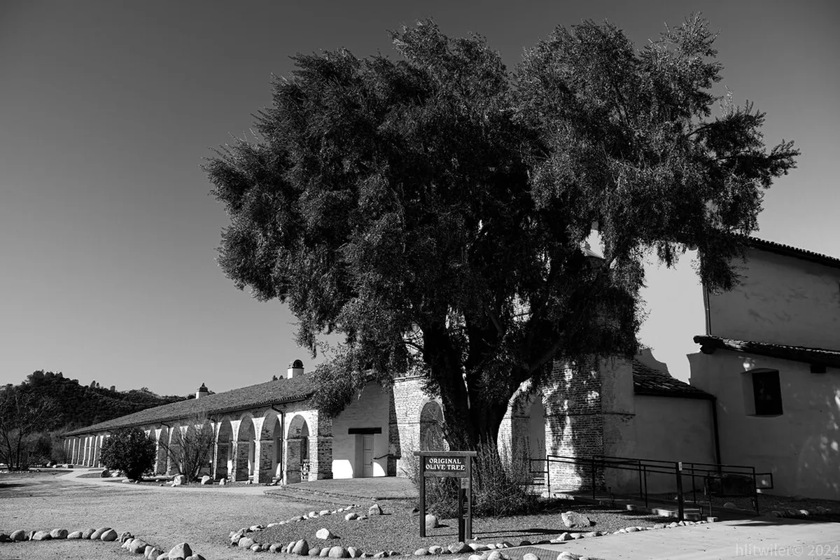 Discover Hidden Patios in Alicante's Old Town