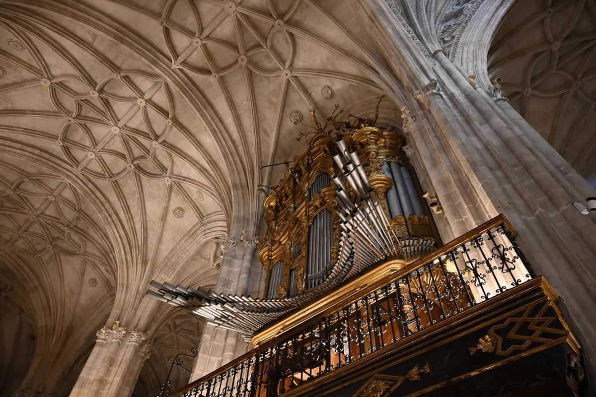 Almería Cathedral Design: Fortress, Faith, and Styles