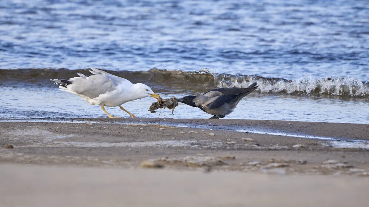 Challenges Facing Almería's Historic Buildings in 2025