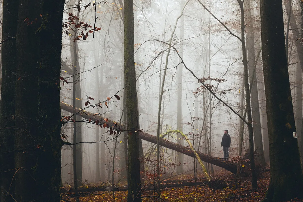Exploring Poblenou's Old Factory Buildings in Barcelona