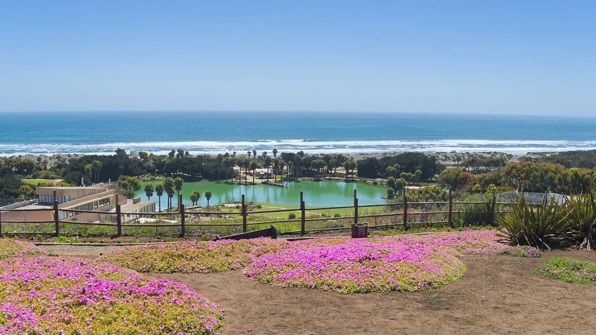 Santa Maria del Mar: Barcelona's Gothic Basilica Guide