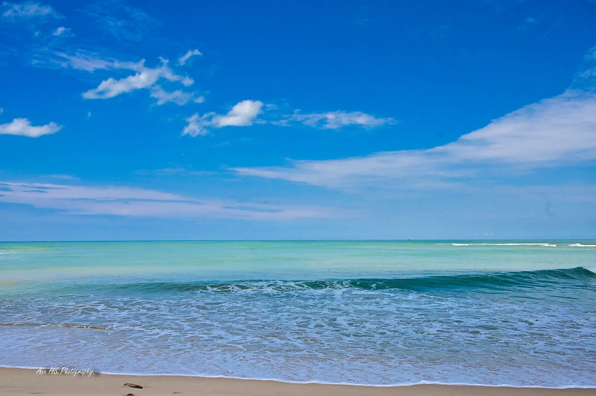 Azkuna Zentroa Pillars: The Story Behind Starck's Design