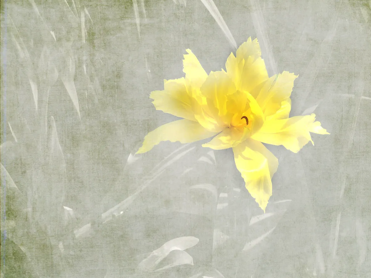 Cáceres's Medieval Towers: A Historic Guide for 2025