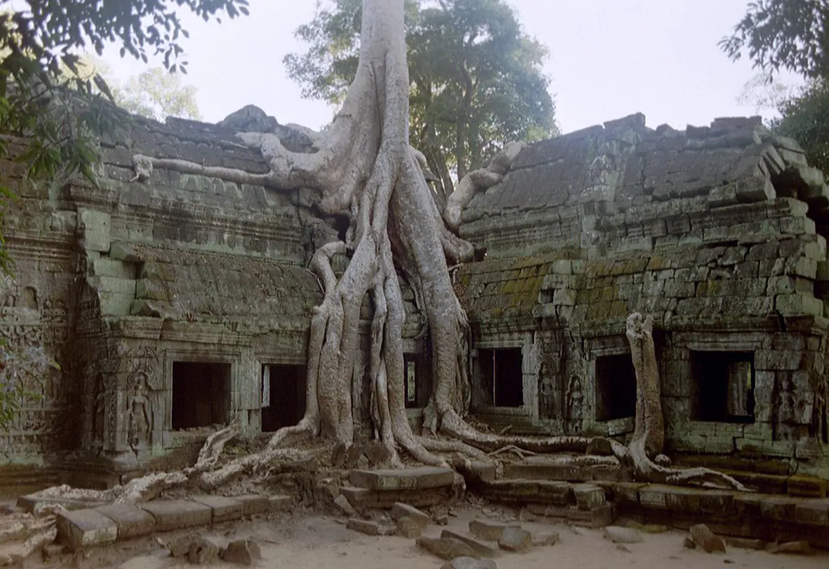 Cáceres Conservation Challenges: Preserving a UNESCO Site