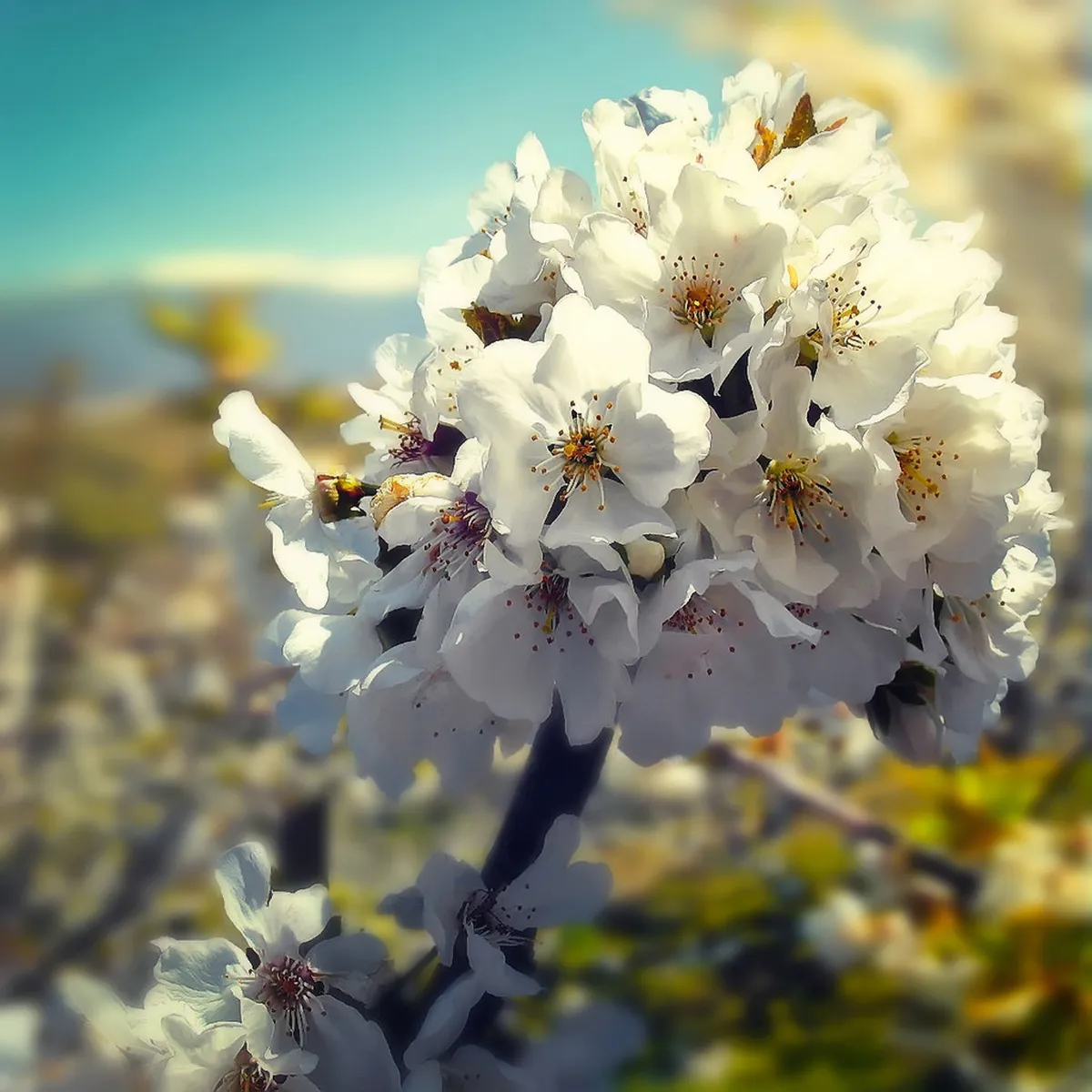 Budget Cáceres Architecture: Free Sights in 2025