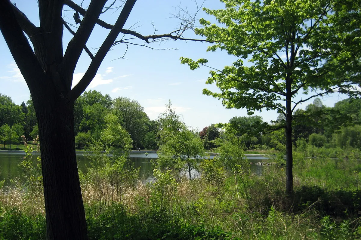 Identifying Features of Cáceres' Jewish Quarter