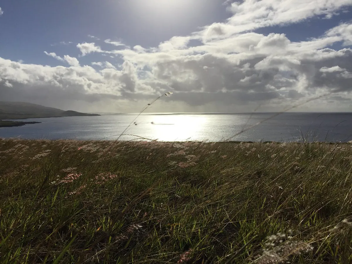 Where to Find the Best Gargoyles in Cáceres, Spain