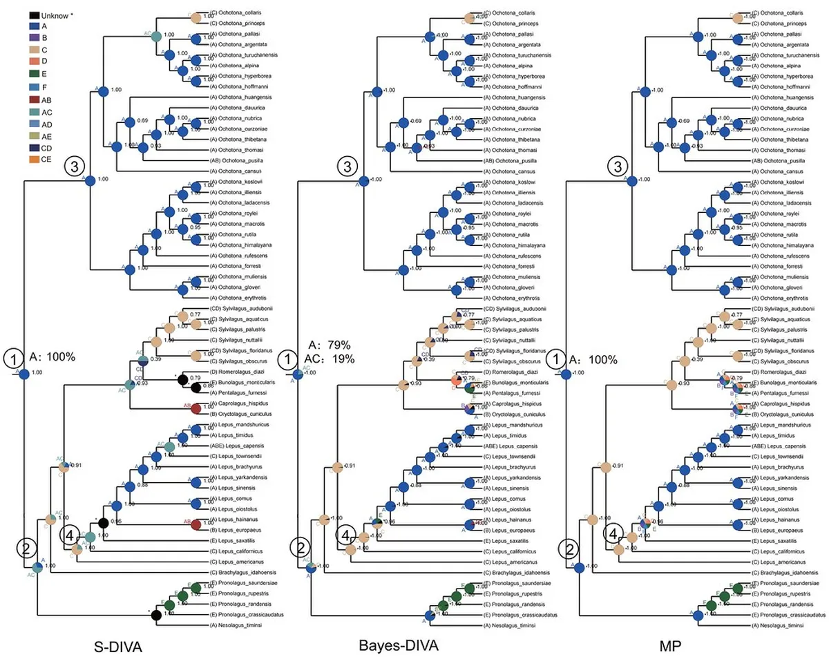 Corralejo Historical Building Maps: Explore Ancient Sites
