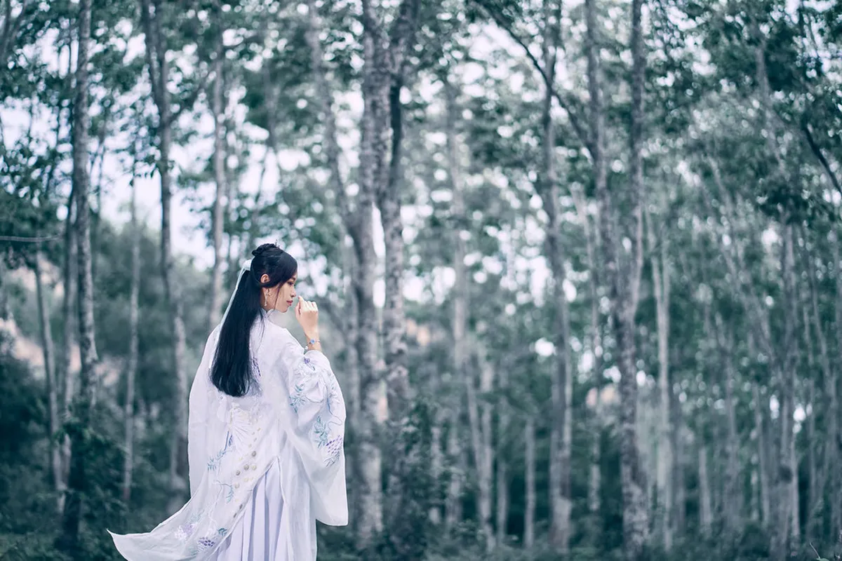 Canarian Construction: Wood and Lime in Corralejo