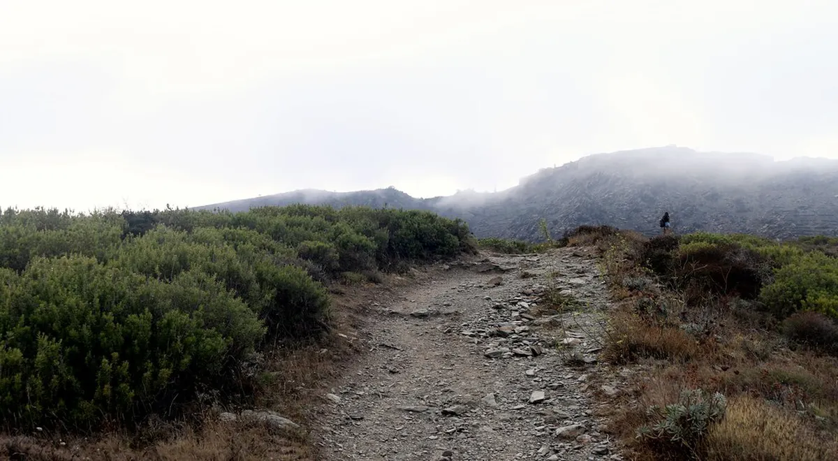 Challenges of Preserving Girona's Iconic Onyar Houses