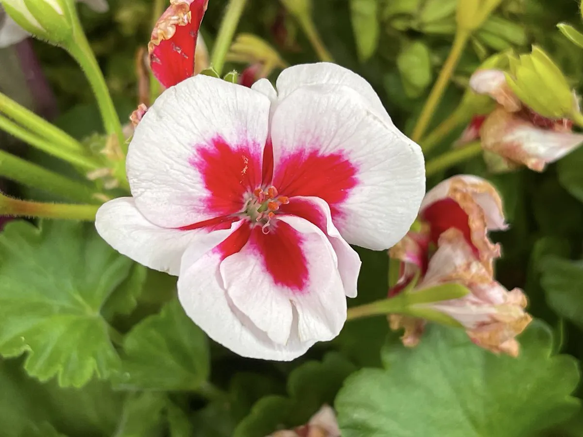 Girona Public Space Design: A 2025 Guide