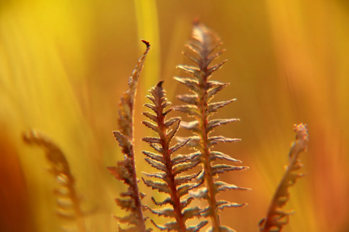 How to Not Get Lost in Girona's Barri Vell in 2025