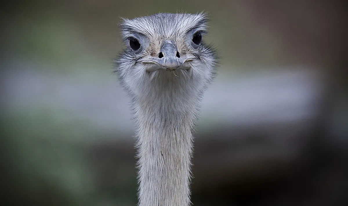 Tips for Walking Girona's Cobblestone Streets Safely