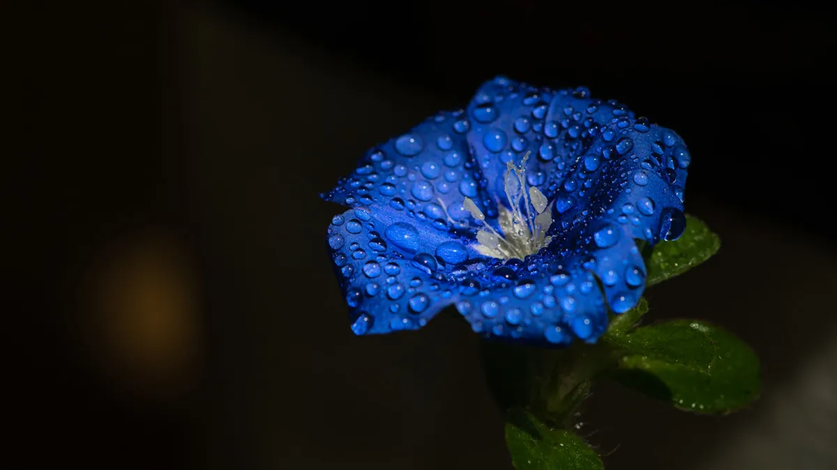 Best Photography Spots in Granada, Spain 2025