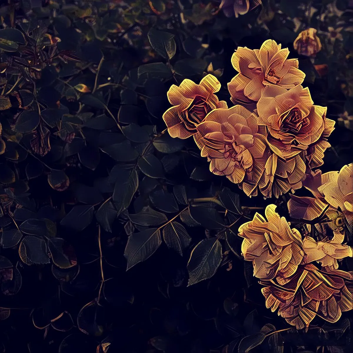 Guide to Historic Doorways in Dalt Vila, Ibiza Town