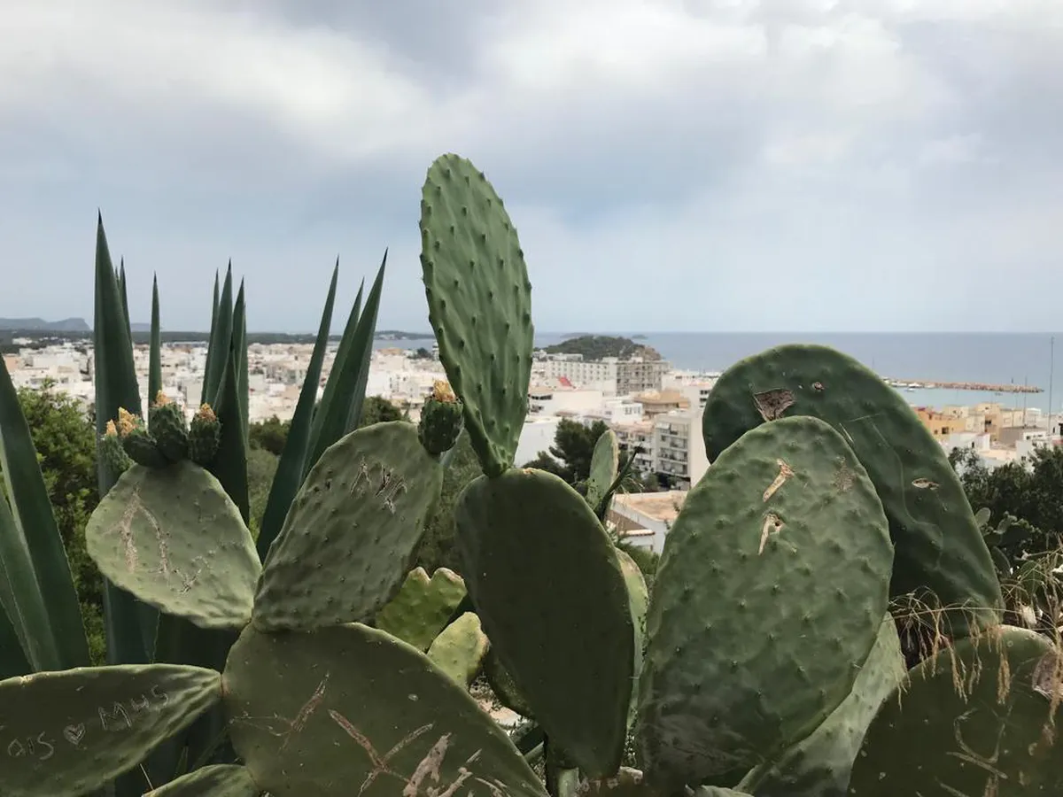 Ibiza Town Urban Planning: A Historic Evolution (2025)