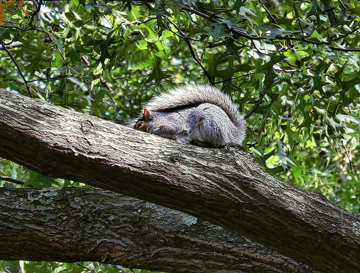 Discovering Ibizan Architectural Motifs: A Guide