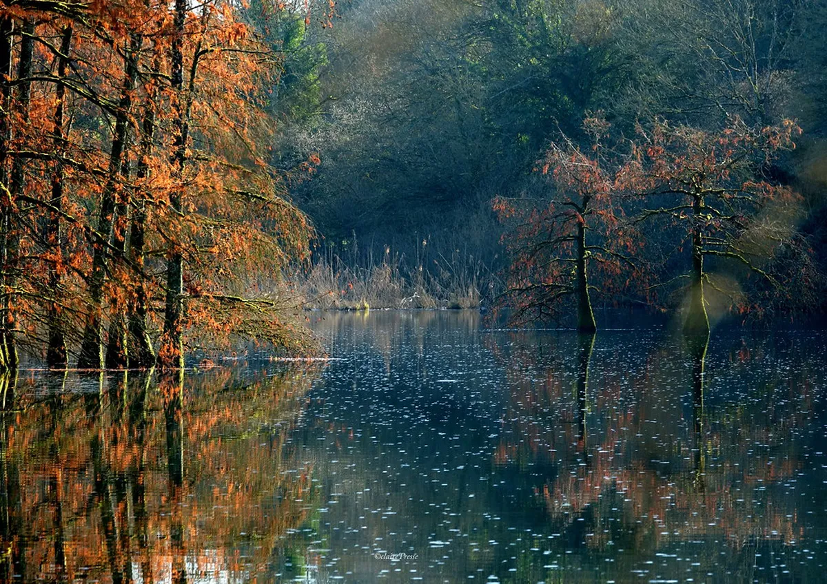 Walking Tour of Sa Penya's Architecture in Ibiza Town