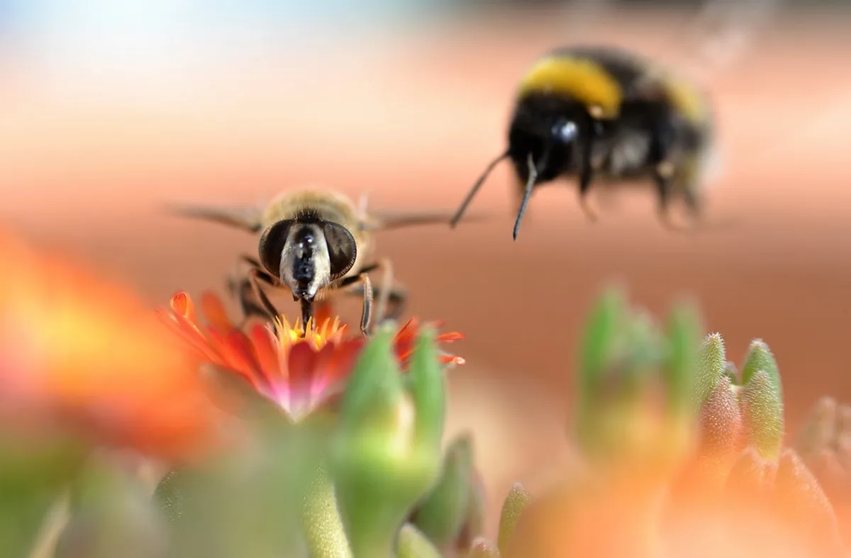Discover Jerez's Beautiful Andalusian Patios
