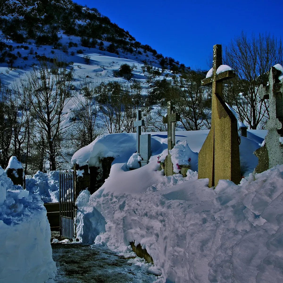 Uncovering Casas de Vecinos in Jerez Architecture