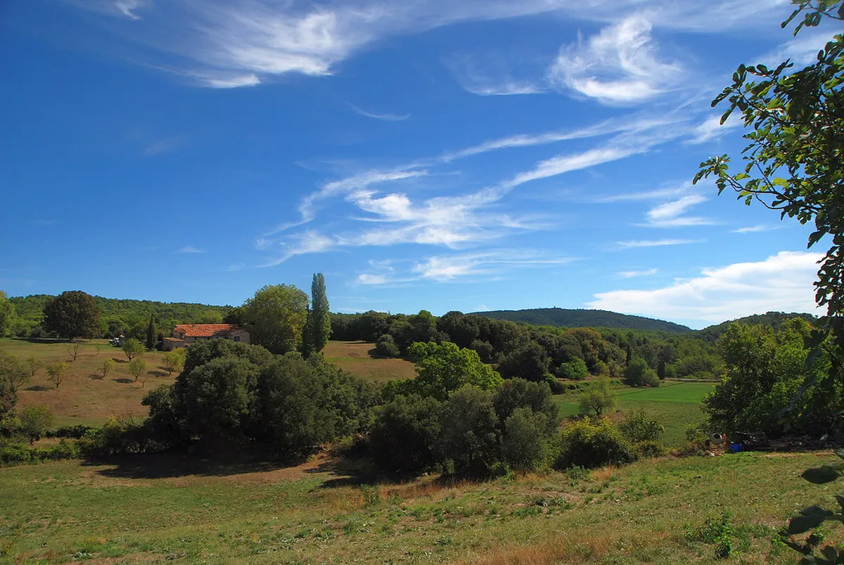 Finding Historic Azulejo Tiles in Jerez (2025 Guide)