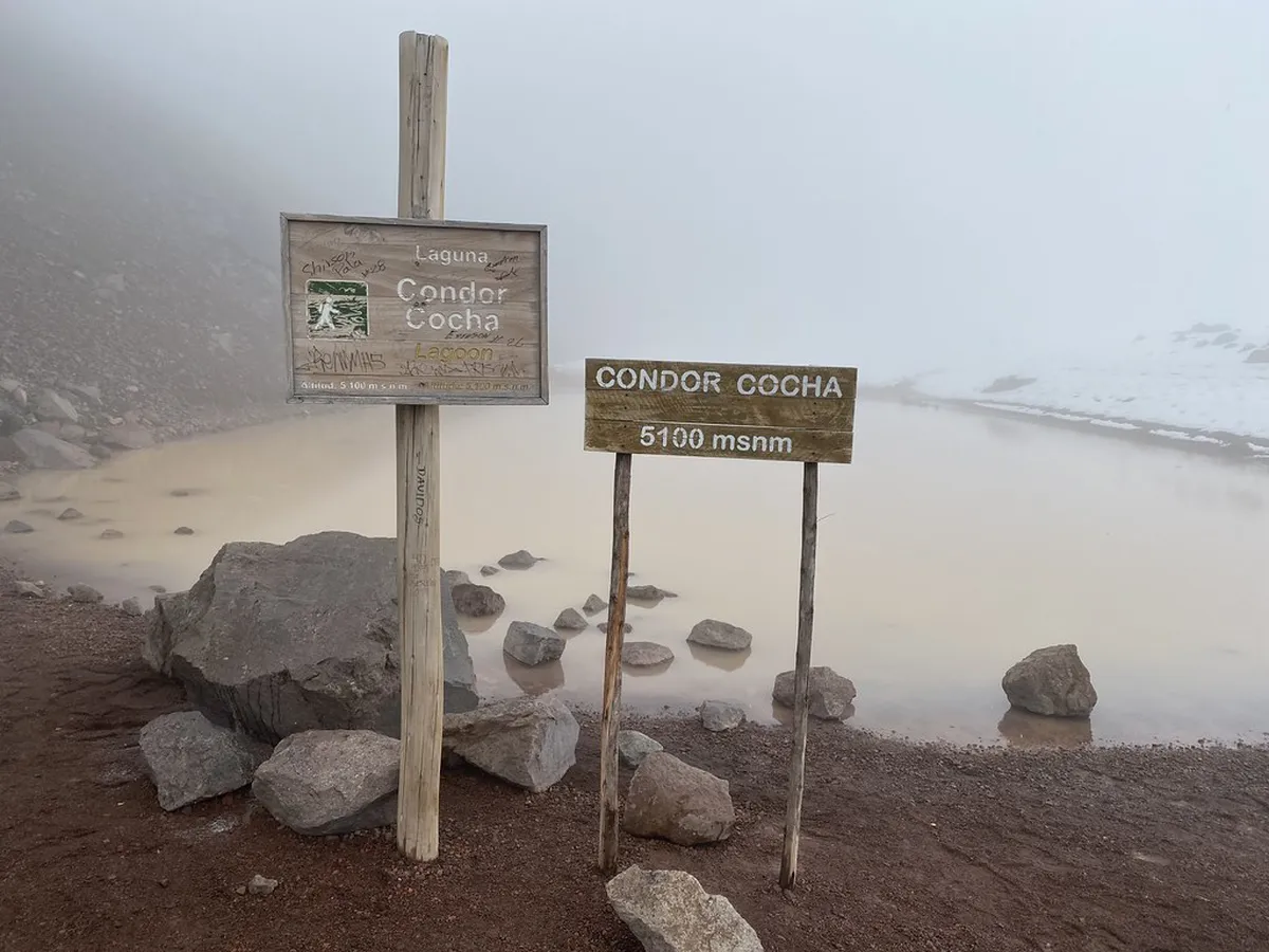 La Laguna Modernist Gems: A Self-Guided Walking Tour