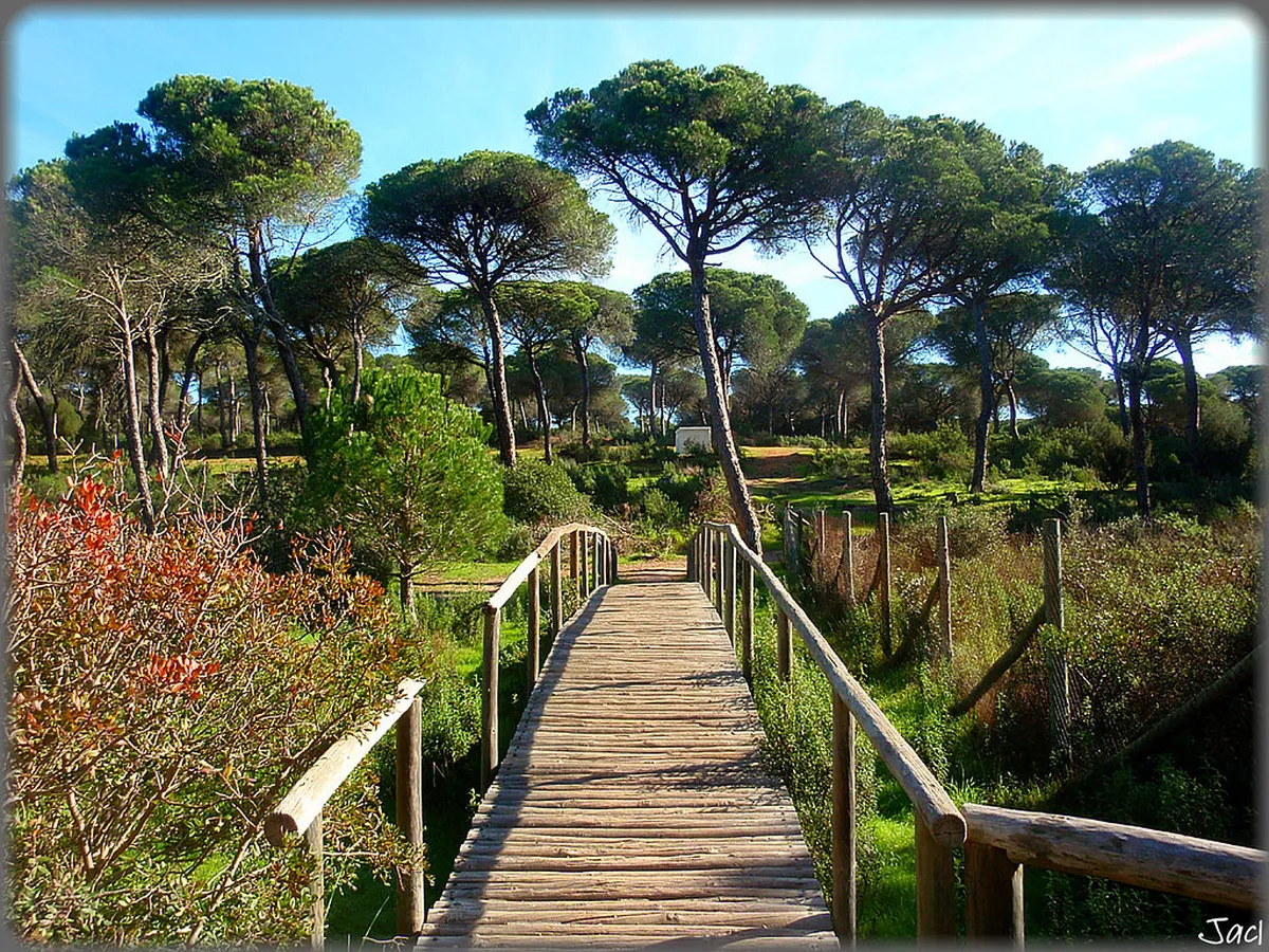 Uncovering La Laguna Baroque Style Architecture