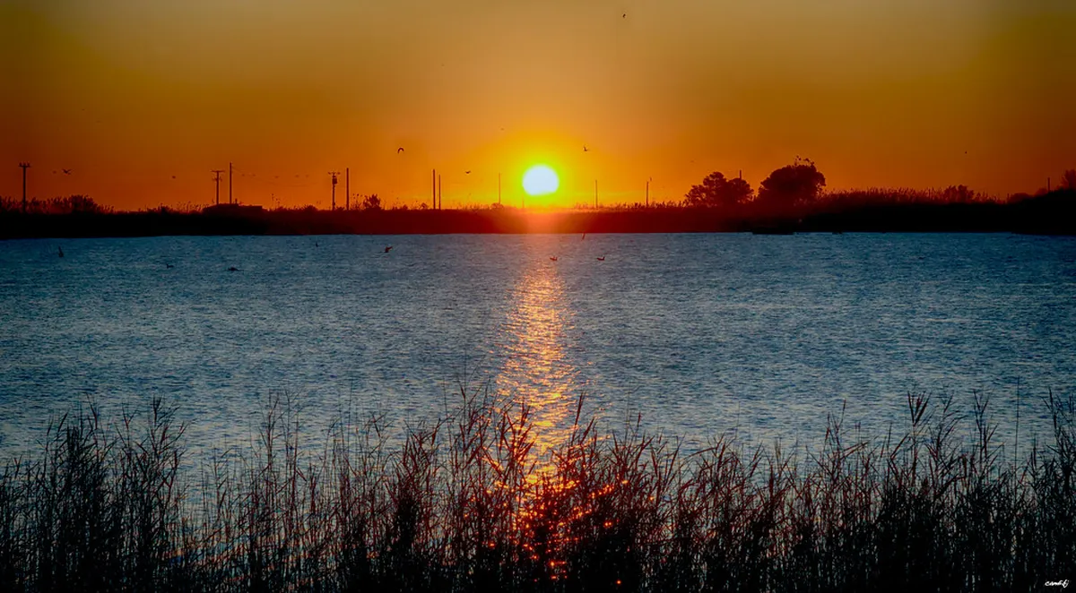 La Laguna Ironwork Details: A Gallery of Wrought Art