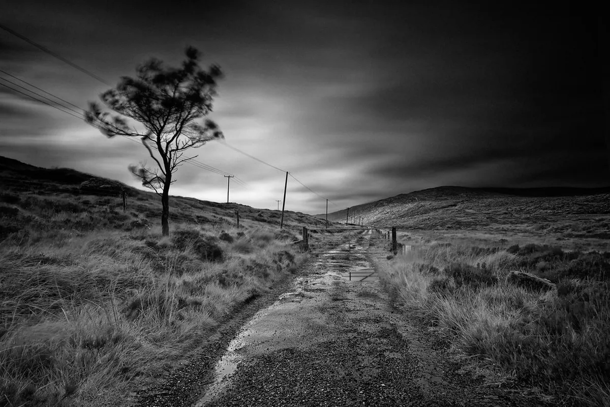 Spotting Ironwork Styles on La Laguna Windows & Doors