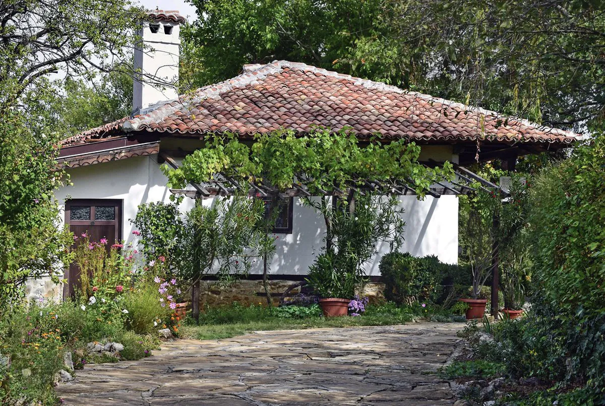 Las Palmas' Traditional Patio Courtyards Guide
