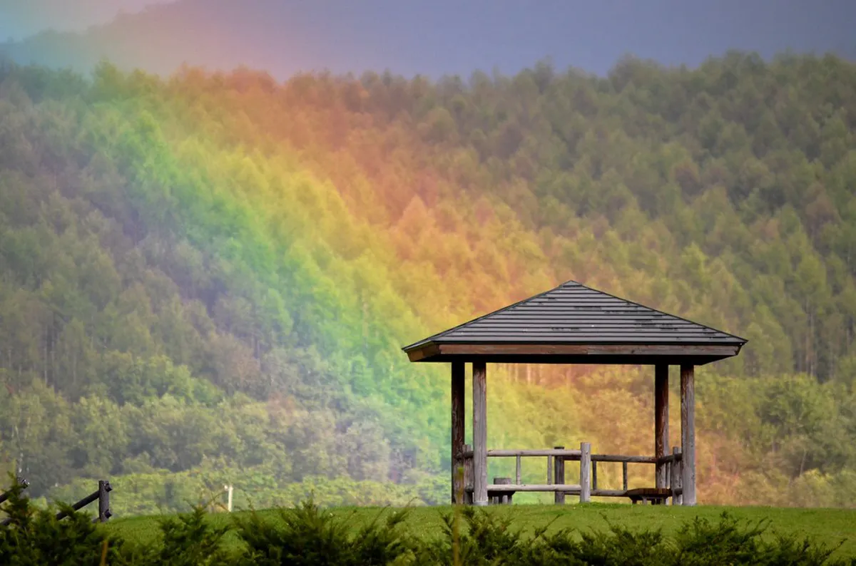 Exploring the Unique Buildings at Matadero Madrid