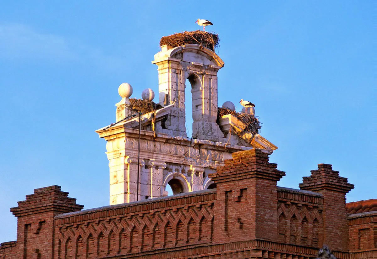 Study Architecture in Madrid: Top Universities & Guide for 2025