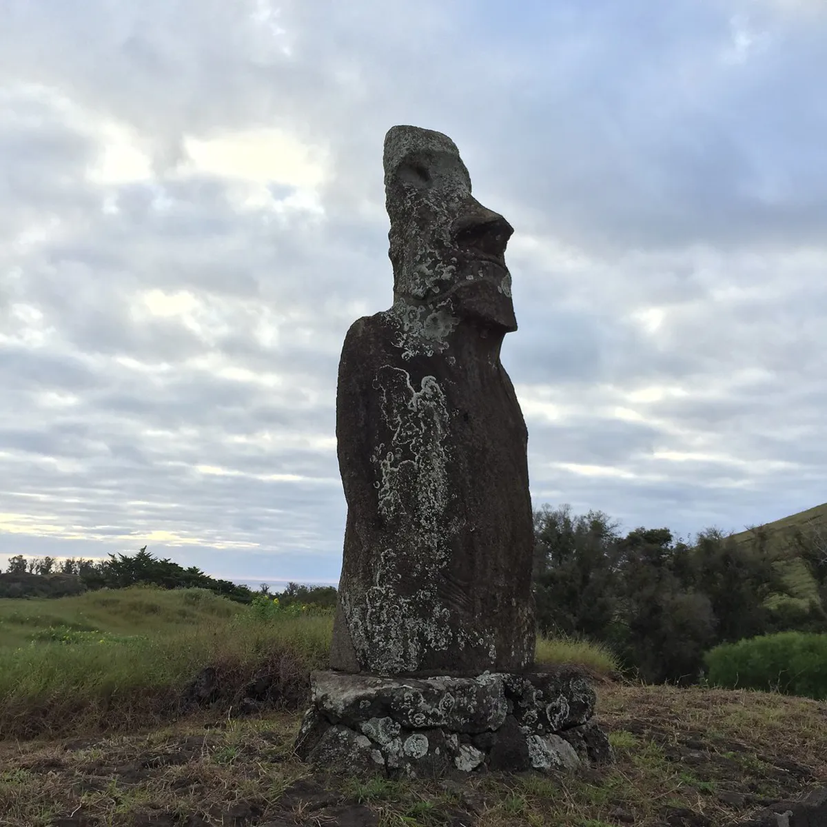 Top Free Architecture Sites Málaga Offers in 2025