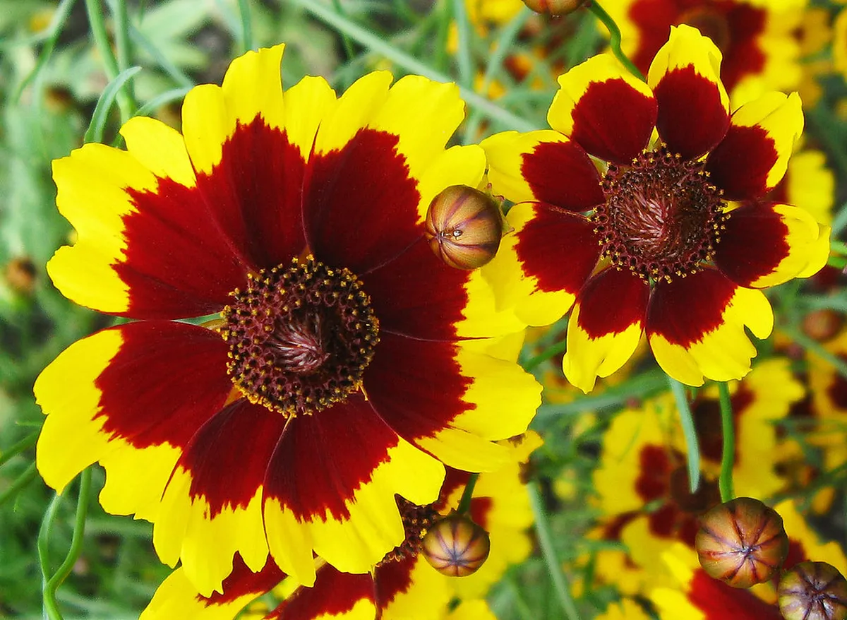 How to Get to Naranco Hill: Oviedo Travel Guide