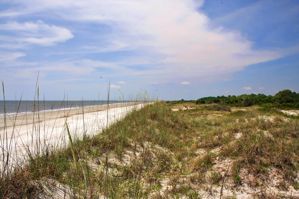 Modern Renovations in Santa Catalina Buildings Guide