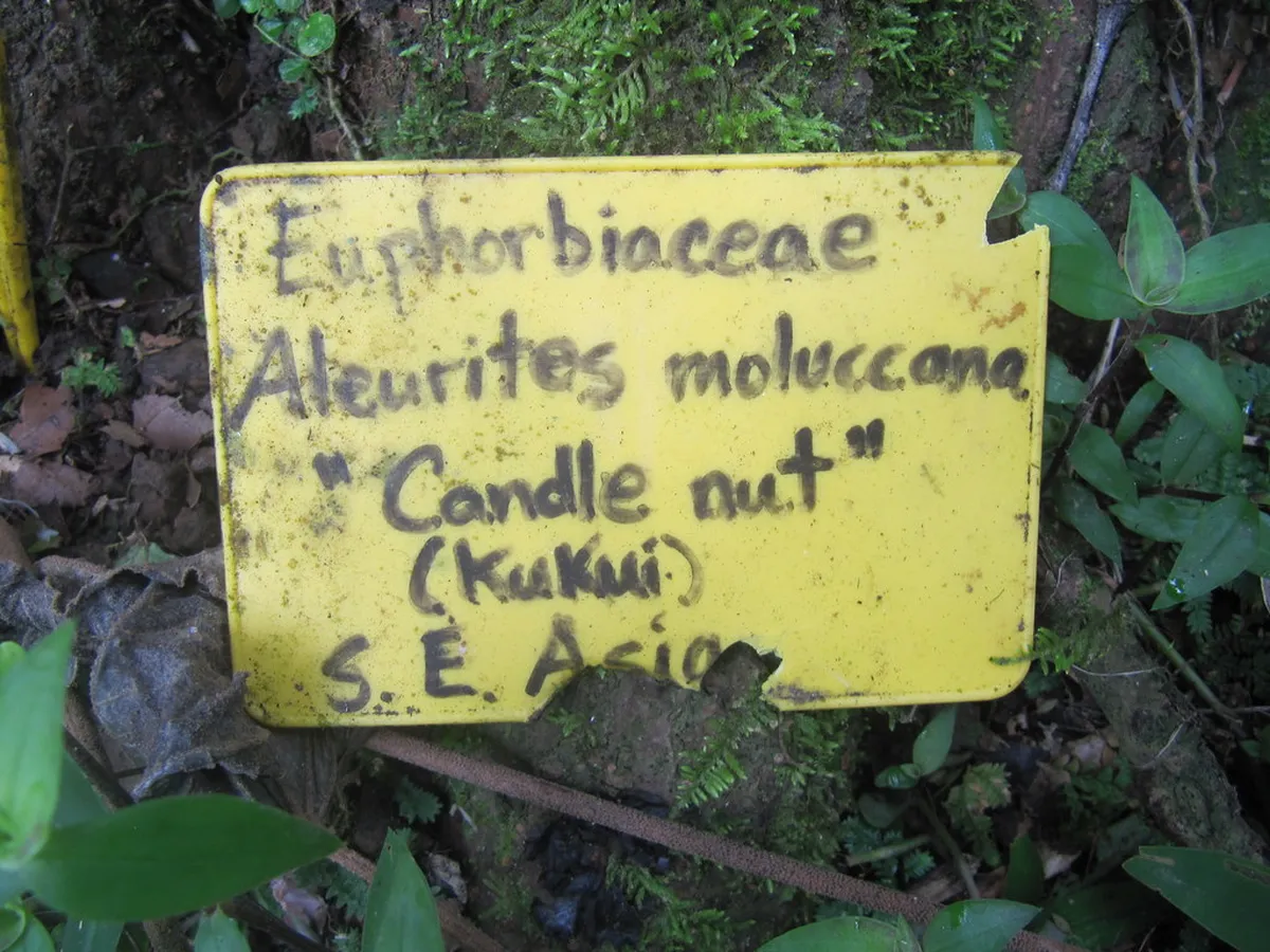 Explore Traditional Stone Fincas in Pollença, Spain