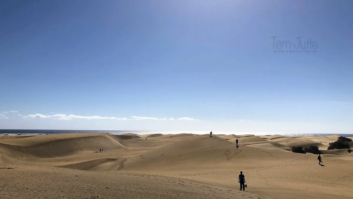 Canarian Modernist Design: Characteristics in Puerto de la Cruz