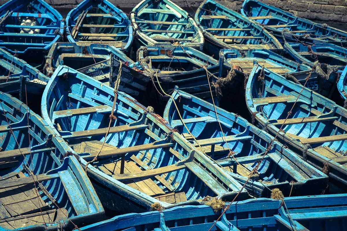 Puerto de la Cruz Fishing Port Architecture Guide