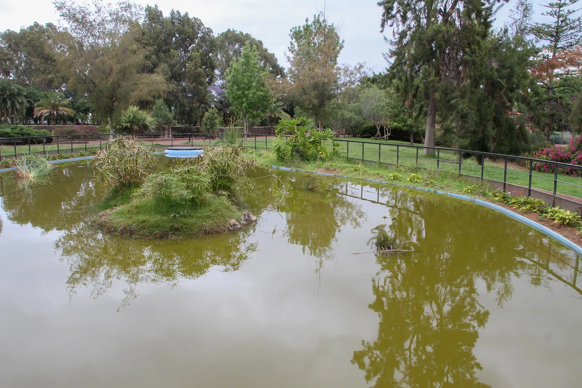 Discover Taoro Park's Architecture in Puerto de la Cruz