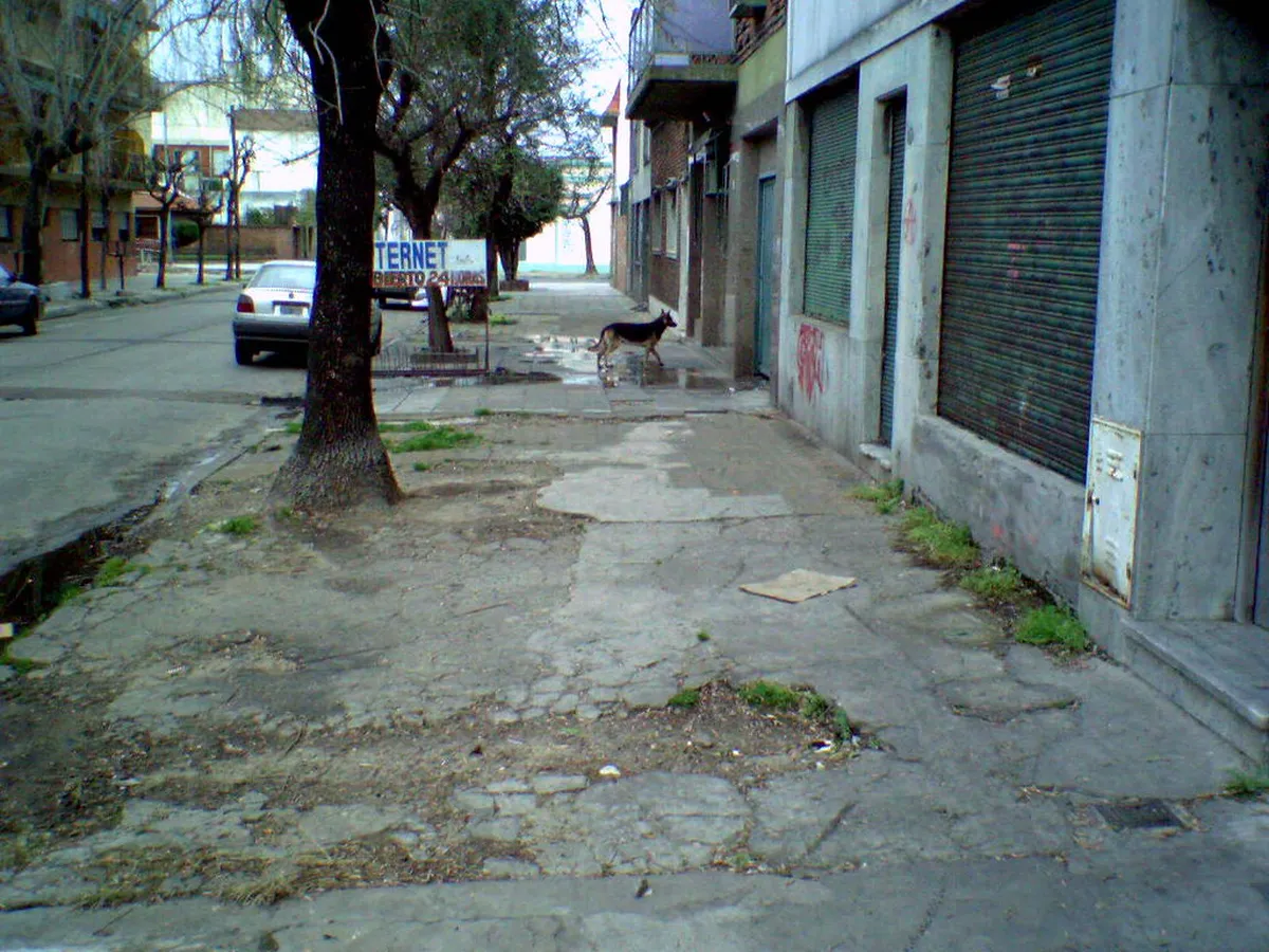 Iriarte Family's Architectural Legacy in Puerto de la Cruz