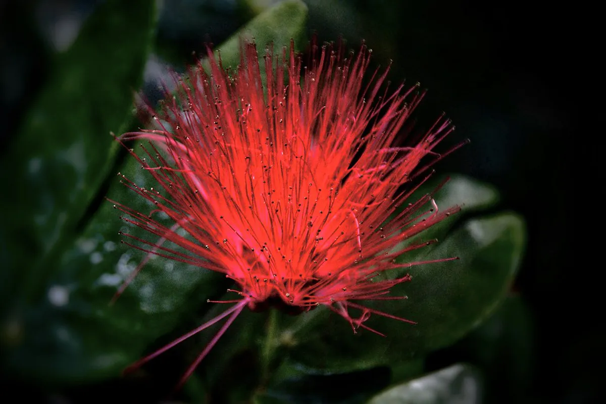 Discover the Unique Design of Ermita de San Telmo in 2025