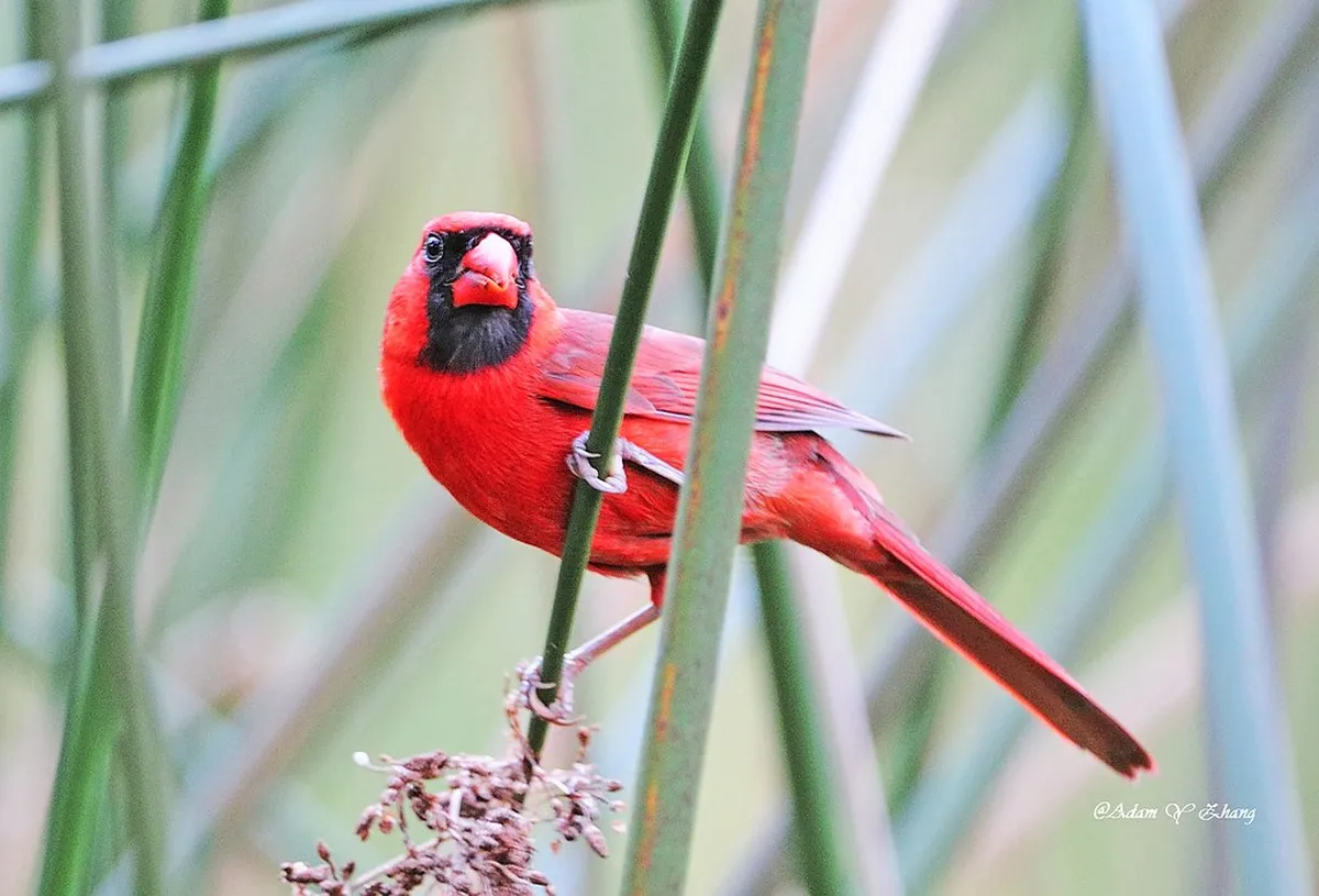 How Reconquista Changed Ronda's Architecture Forever