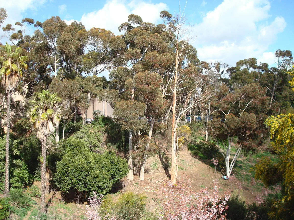 Ronda Building Materials: A Comprehensive Guide 2025