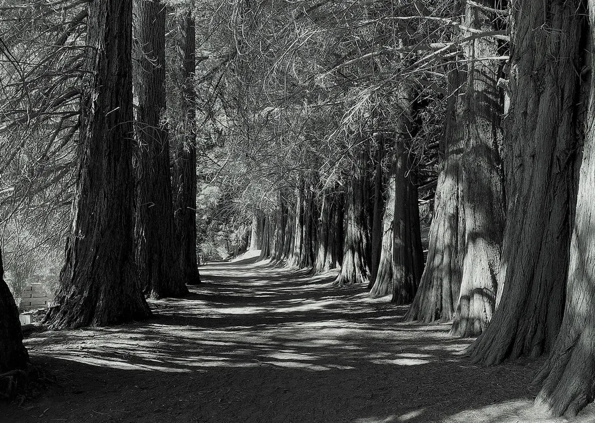 Self-Guided Tour: Ronda's Ancient City Walls in 2025