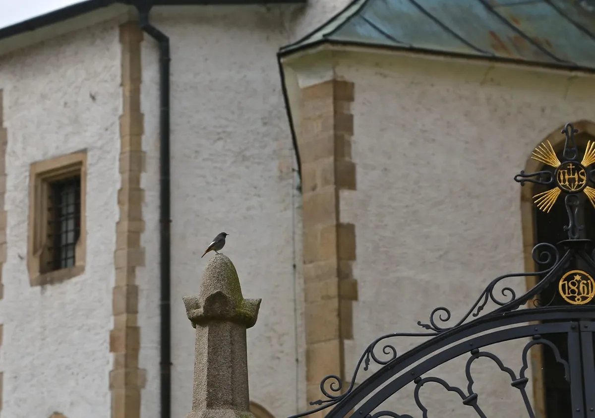 The Rich History of Wrought Iron in Ronda, Spain
